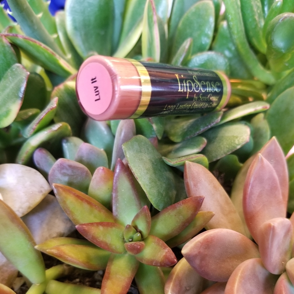 ❗1 DAY SALE❗LUV IT🔥LIPSENSE COLOR